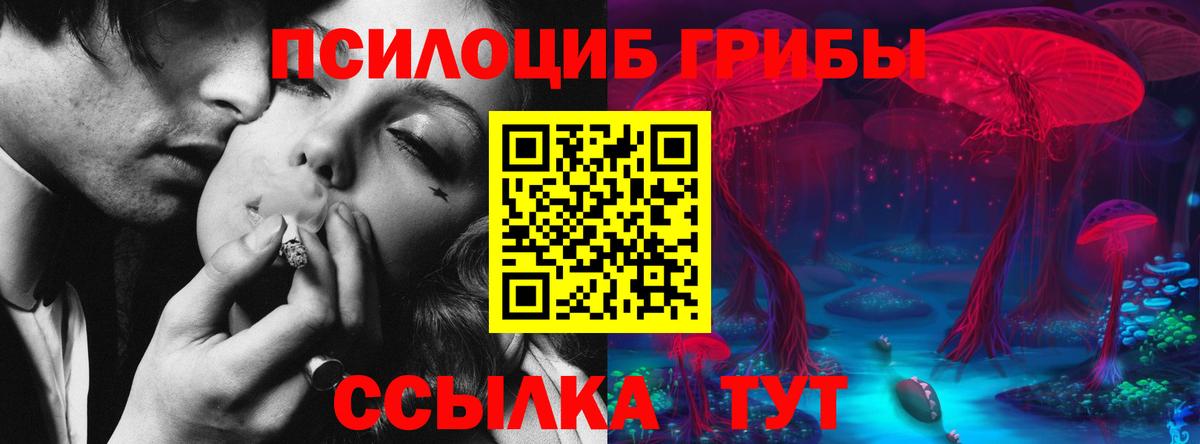 Галлюциногенные грибы Psilocybine cubensis Отрадный
